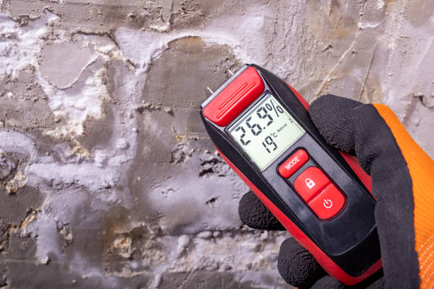 Best Commercial Mold Remediation in Bettendorf, IA